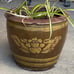 Chinese Earthenware Pot 11” wide 9” high