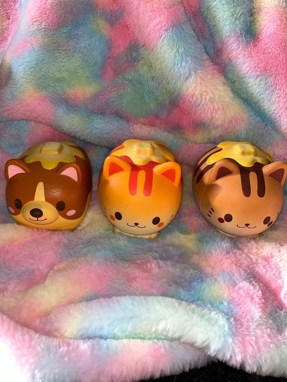 Nyan deals cat squishy
