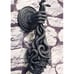 Severed Head Of Medusa ,Wall Decor
