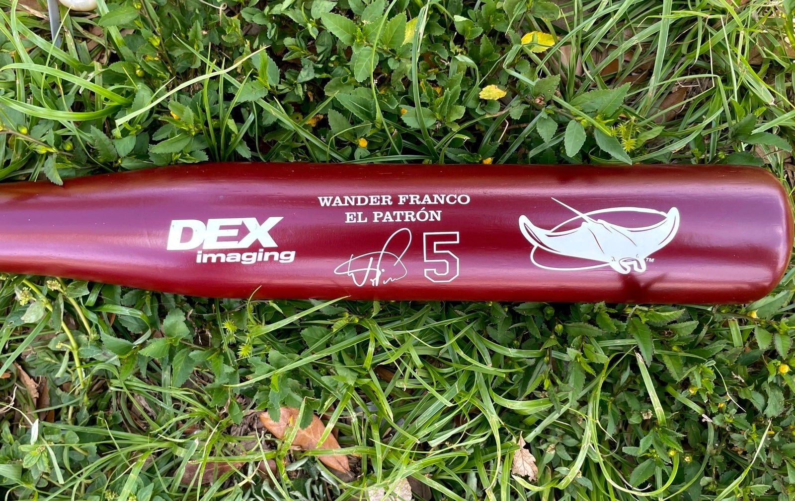 Wander Franco SGA Bat