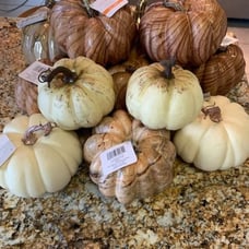 Thanksgiving Pumpkins