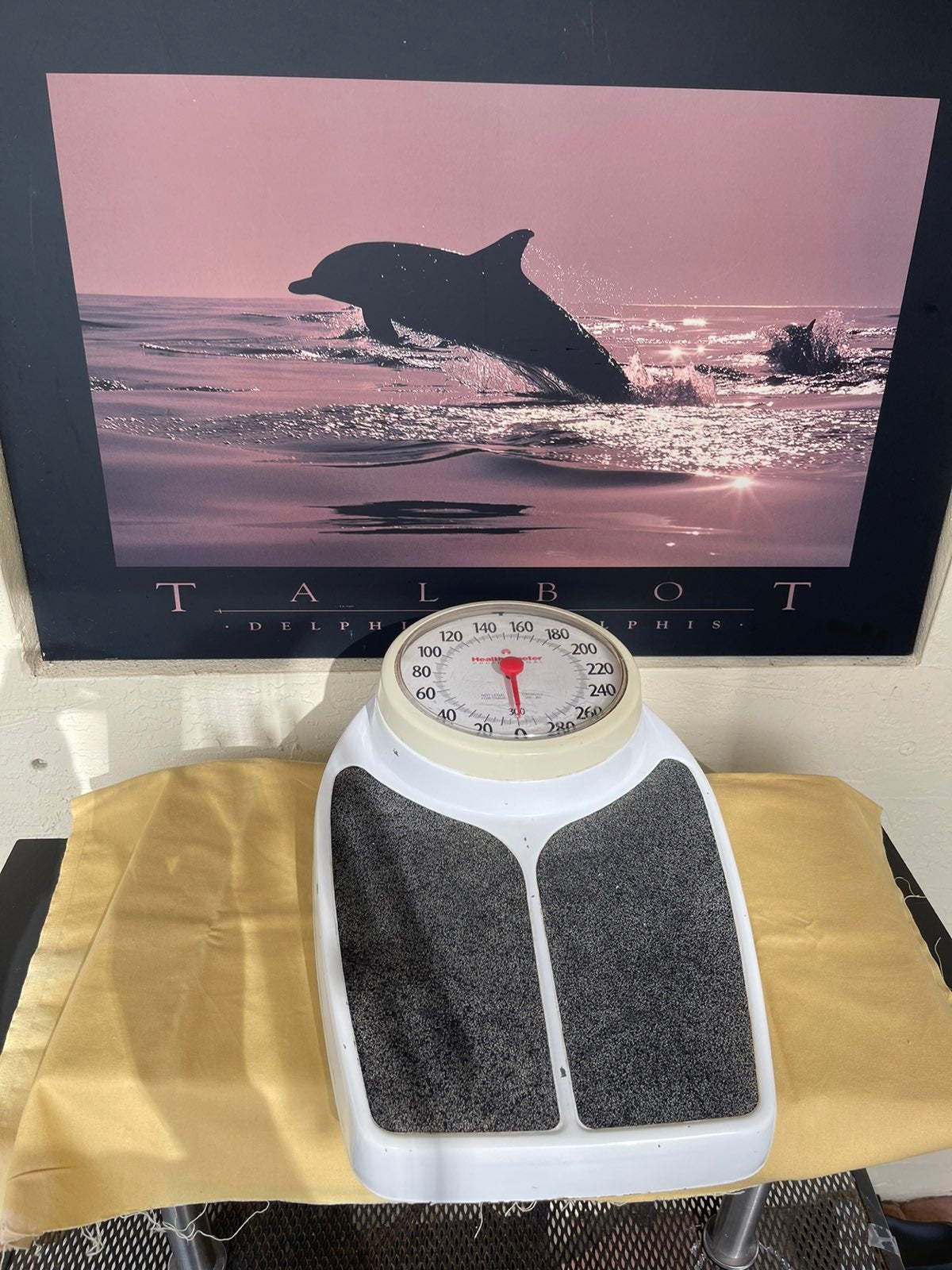 HEALTH O METER PROFESSIONAL SCALE