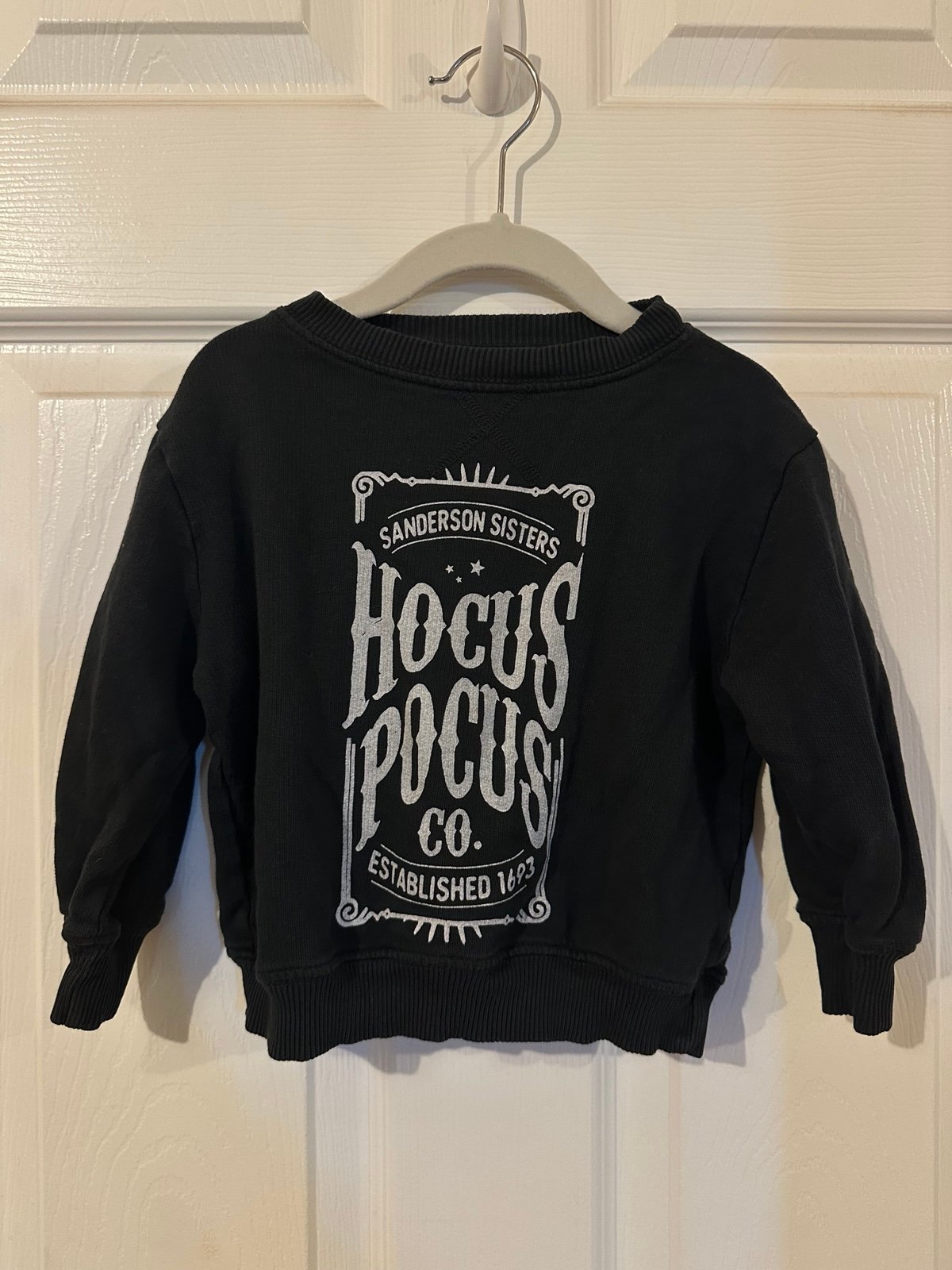 Hocous pocus toddler sweater