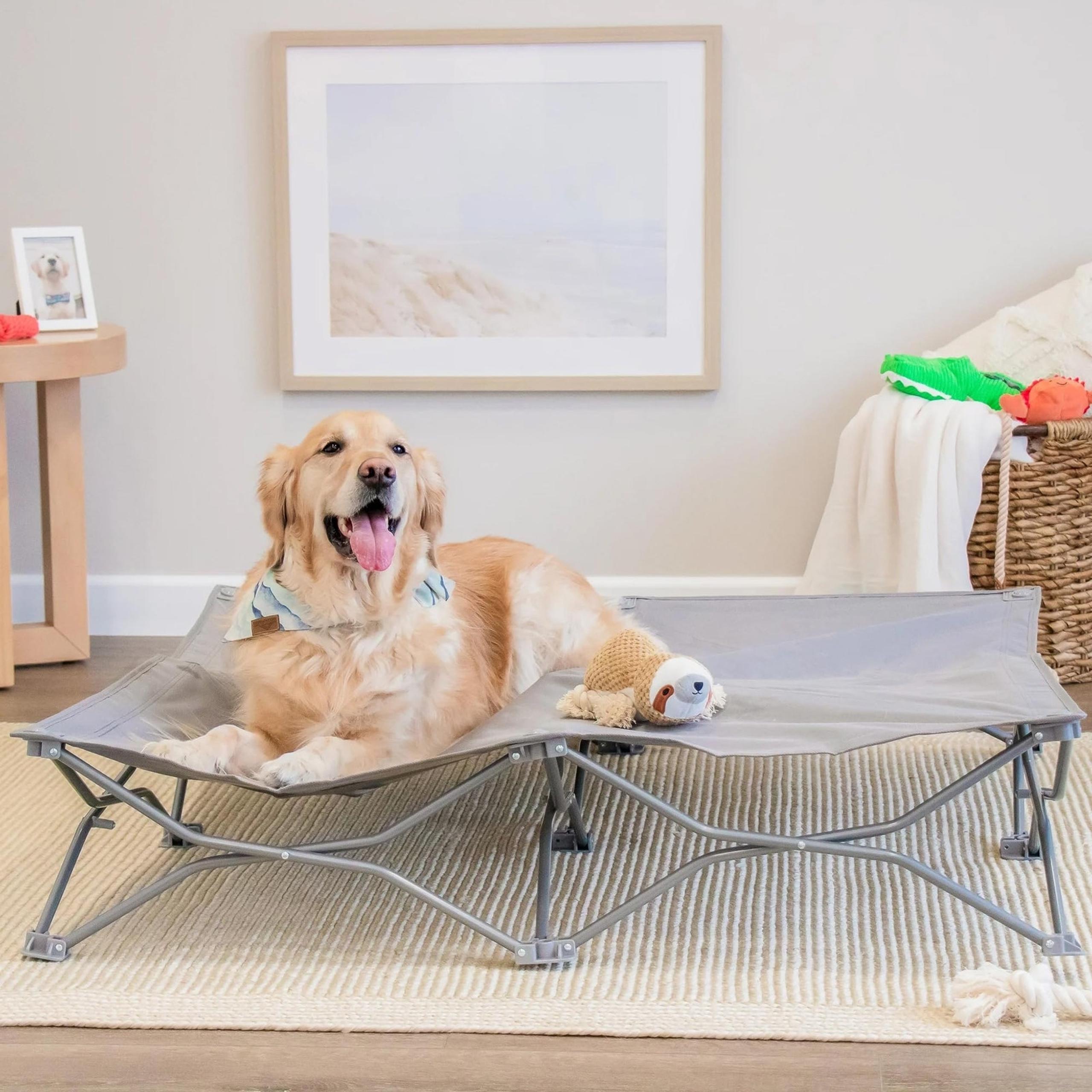 Copied - The Potable Pup Pet Bed for Home or On The Go, Gray