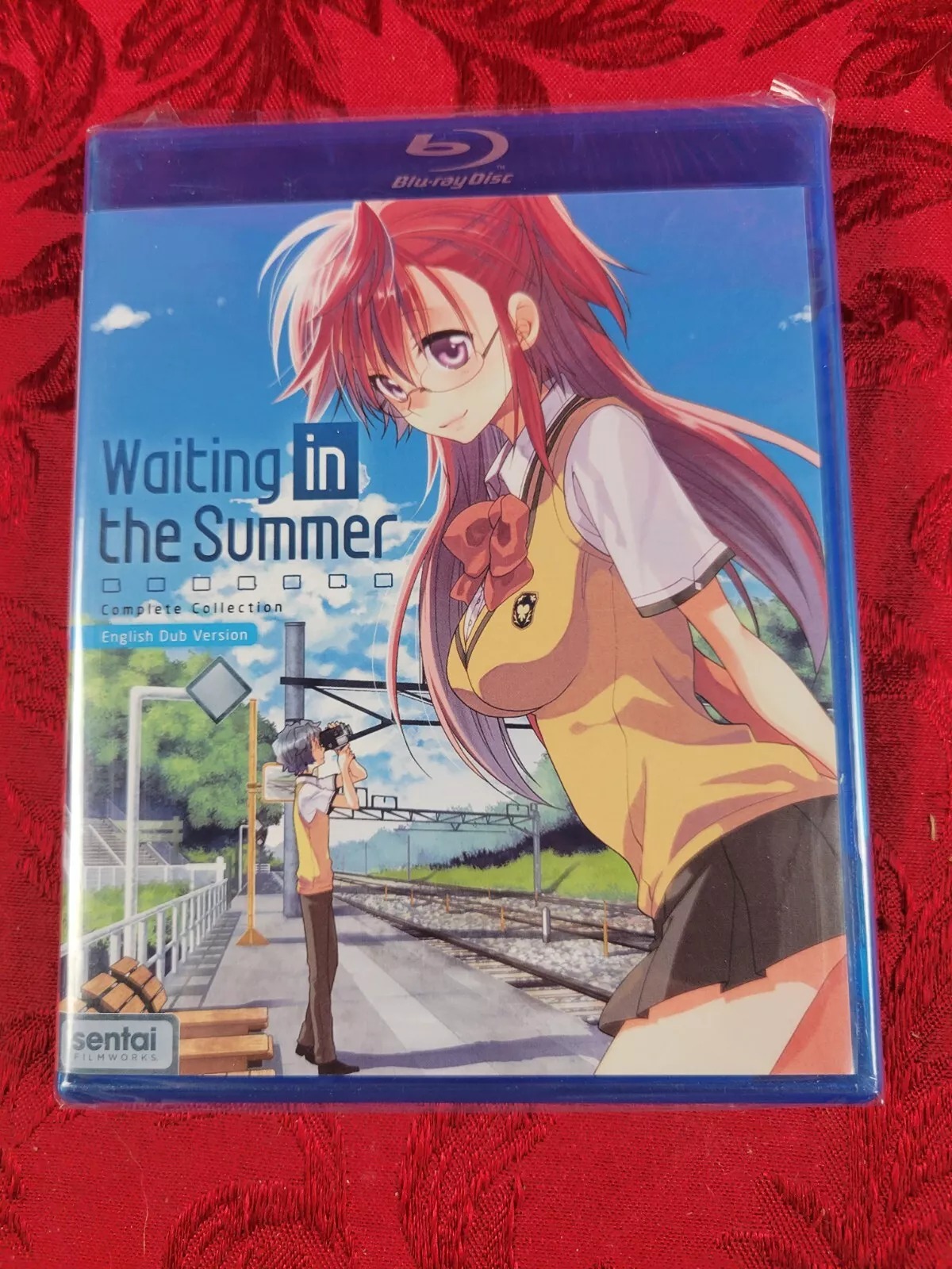 WAITING IN SUMMER (2019) Sentai Filmworks, Tatsuyuki Nagai
