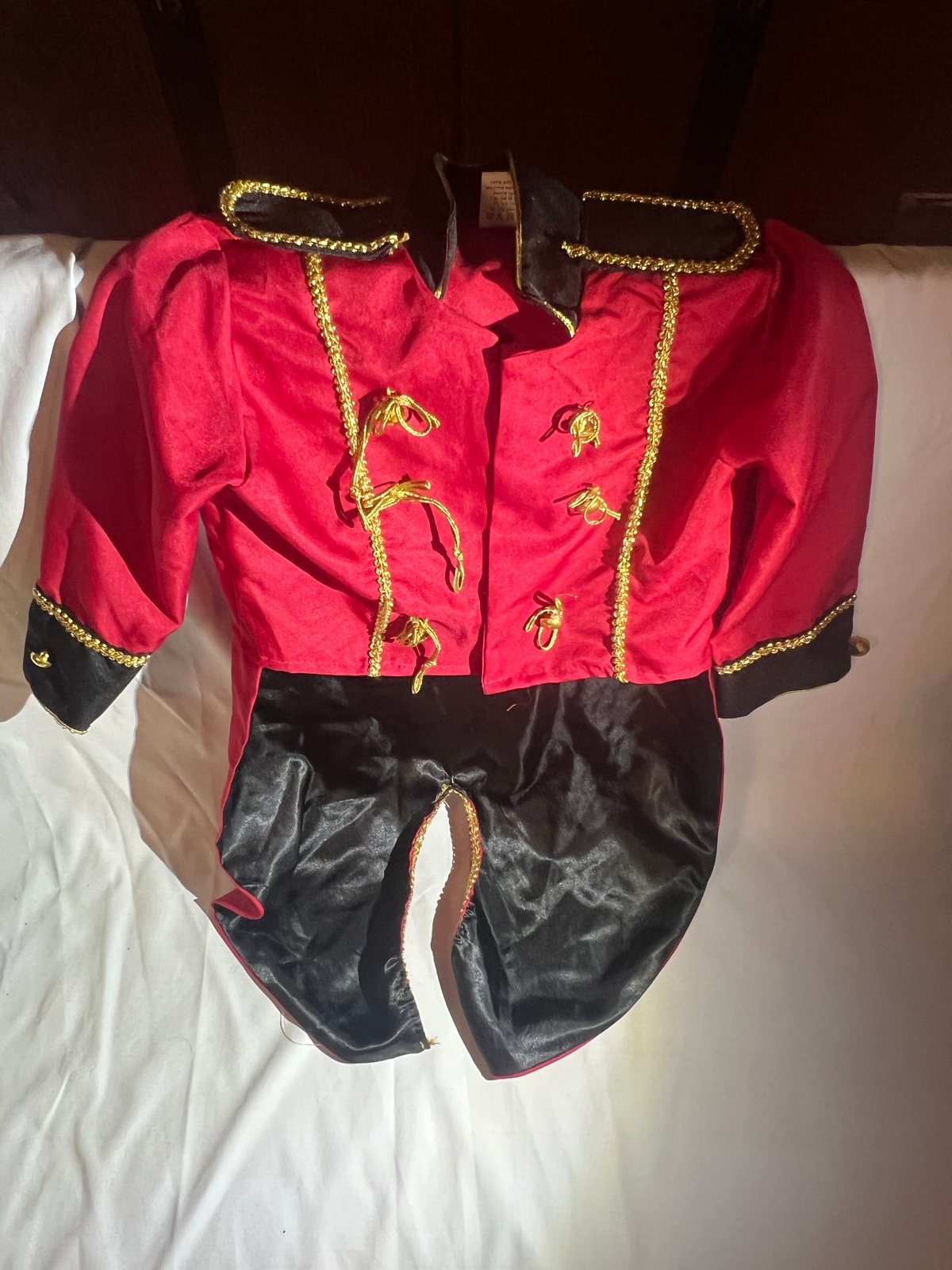 Taylor swift costume