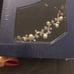 Swarovski Crystal and pearl necklace NEW!