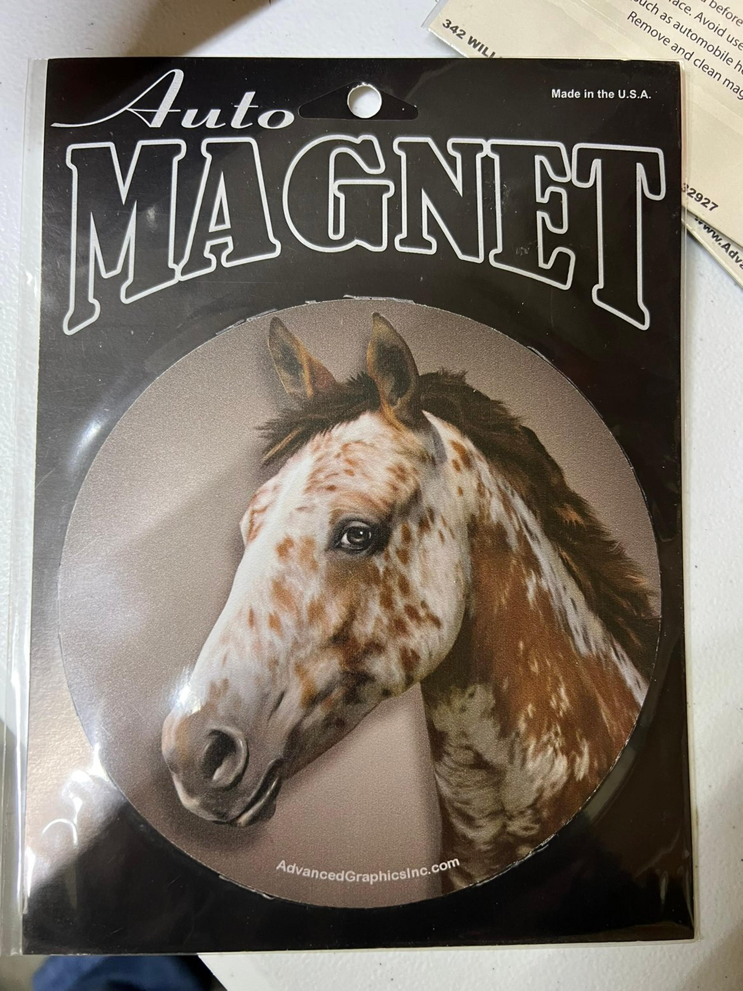 Magnet