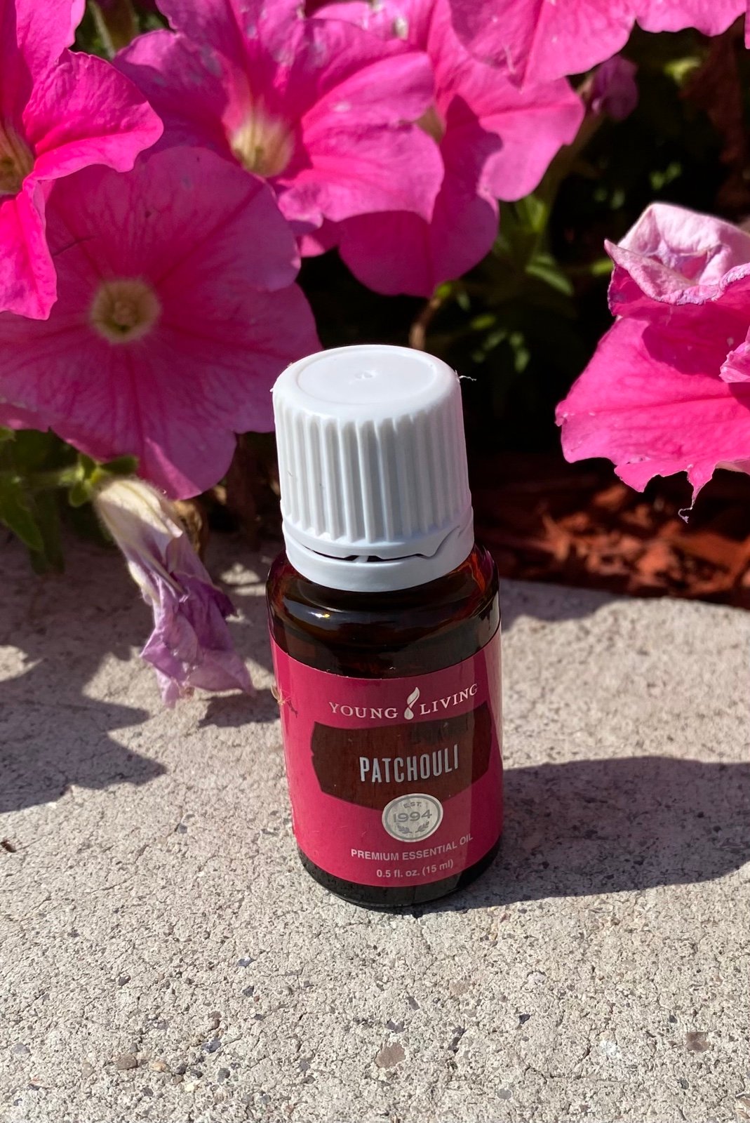 Patchouli Young Living Essential Oil