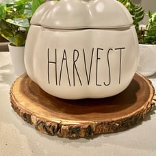 Rae Dunn HARVEST Pumpkin Canister / Jar