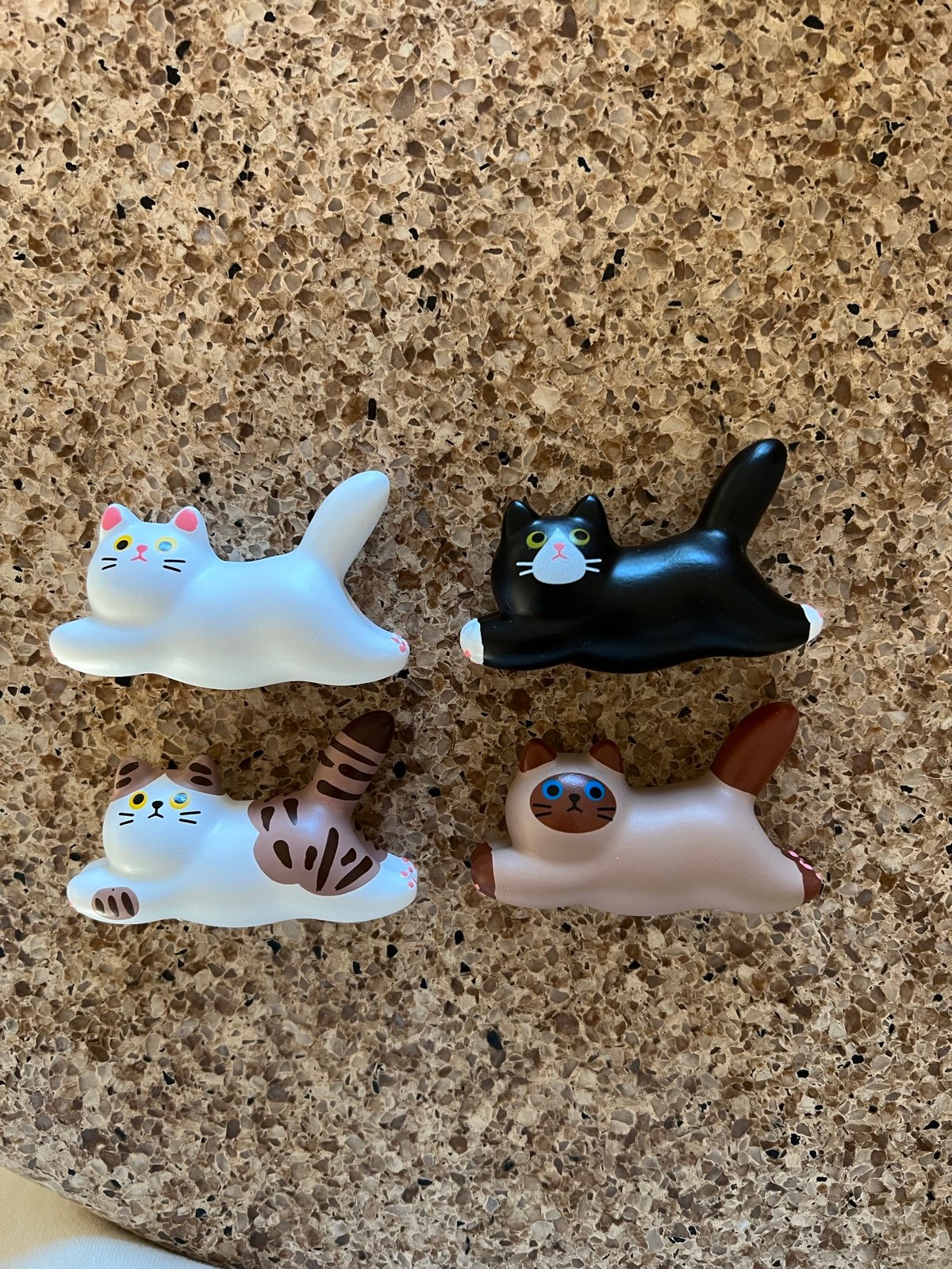 Cats Magnet