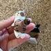 Cats Magnet
