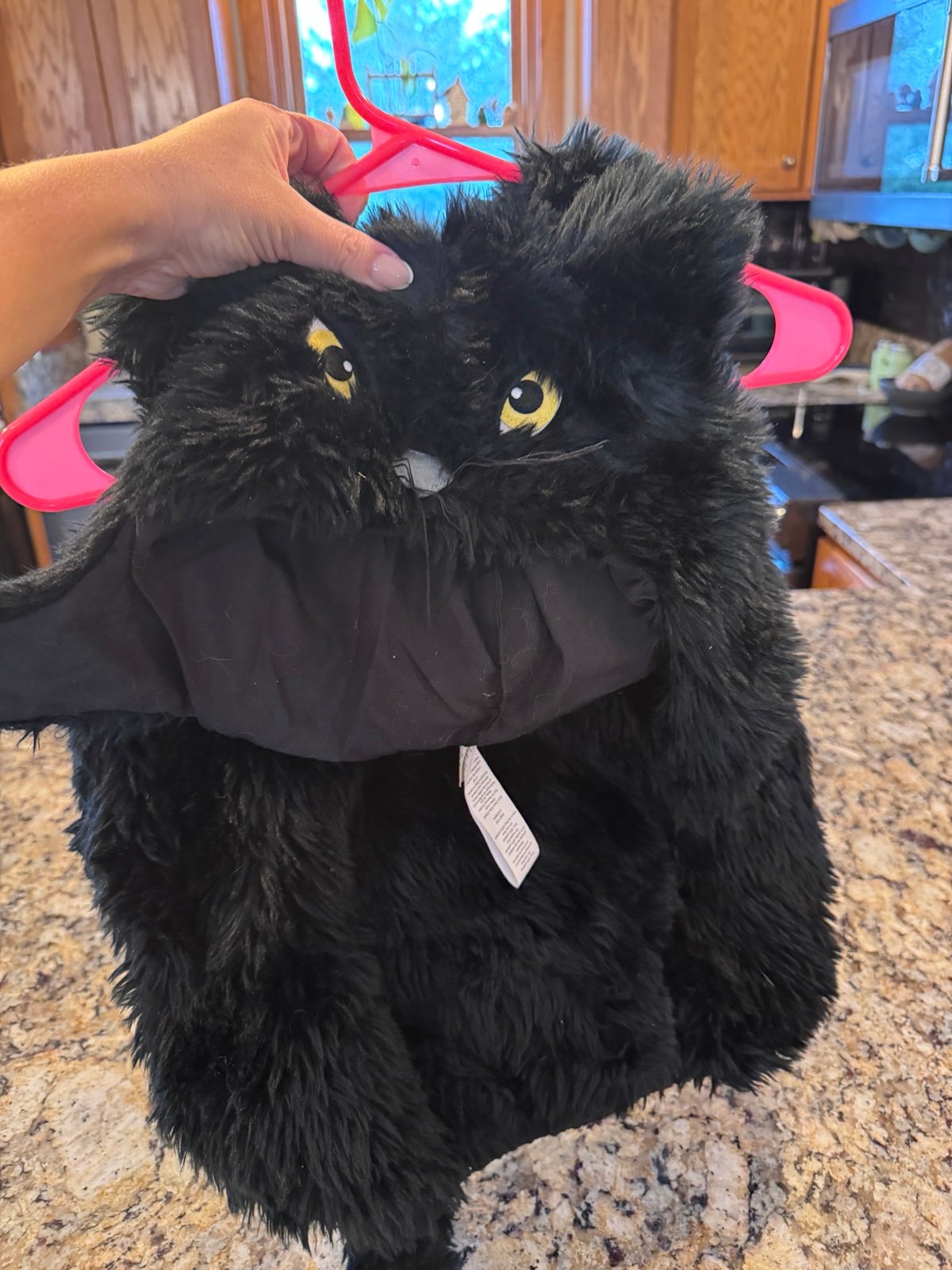 Pottery Barn Toddler Black Cat Costume