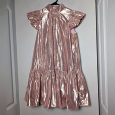Corey Lynn Calter Dress Pink Metallic Roanne Mini Ruffle Sz M
