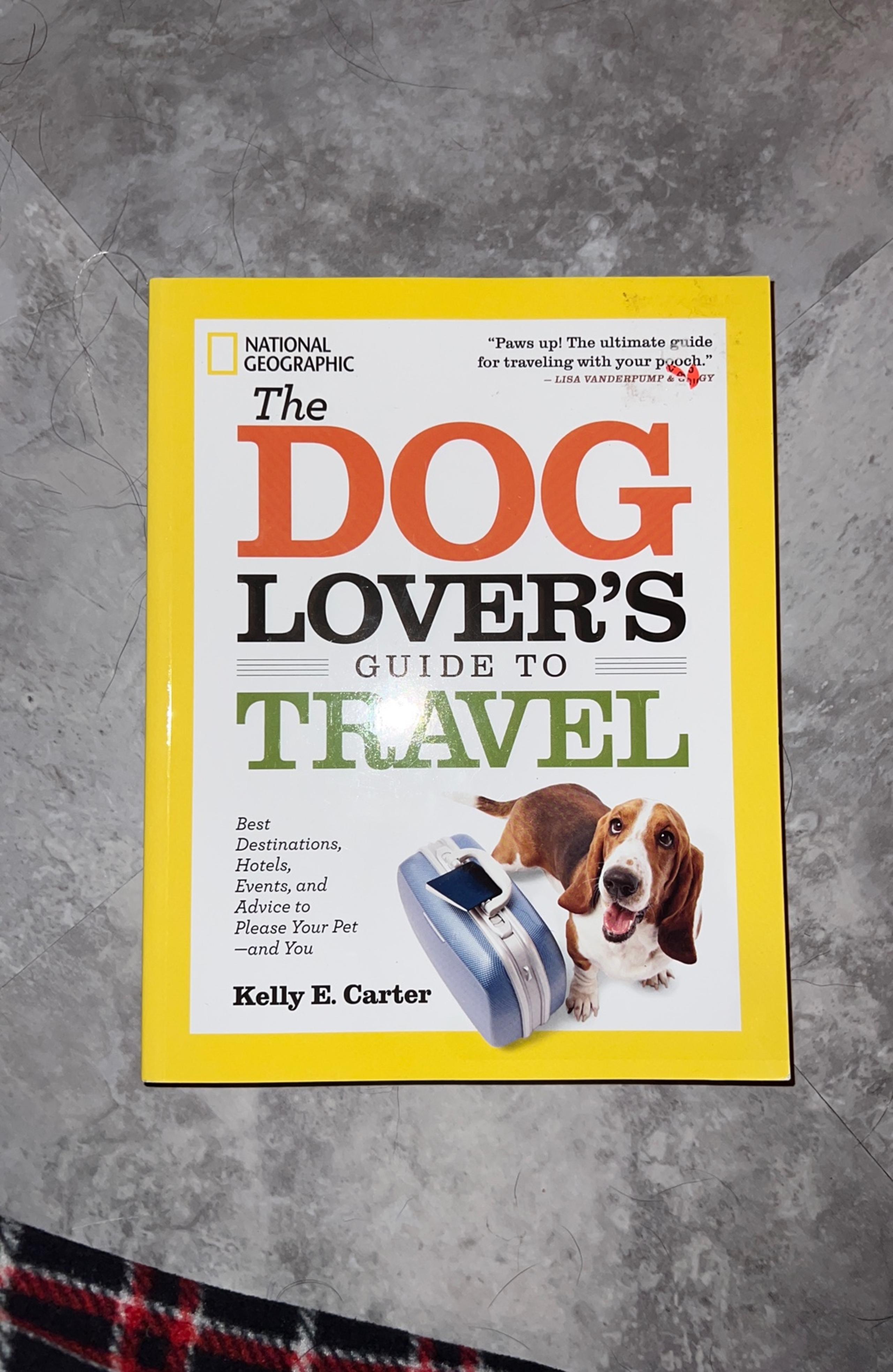 The Dog Lover’s Guide To Travel