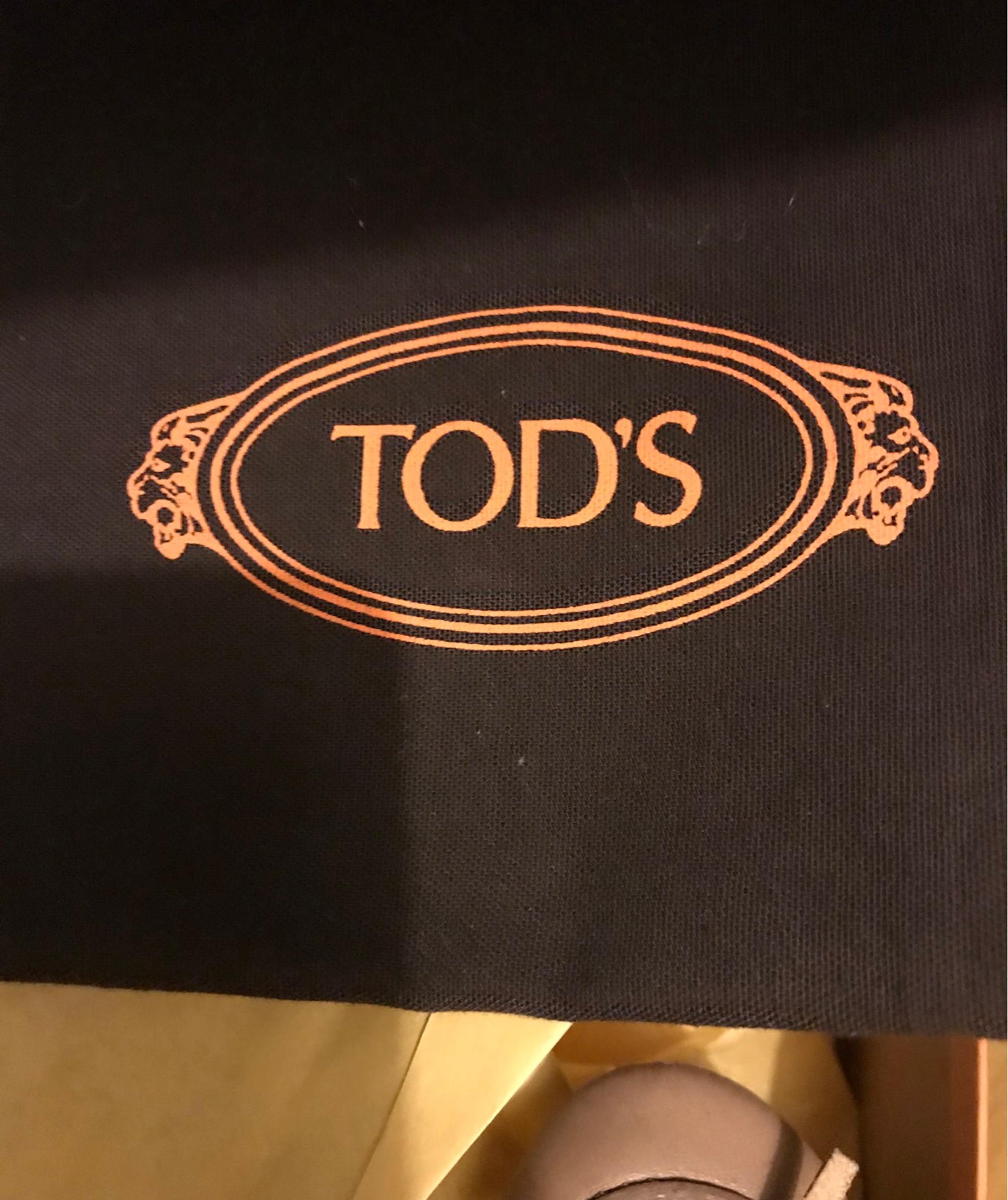 Tods loafer