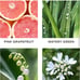 NEST Fragrances Grapefruit Wall Diffuser