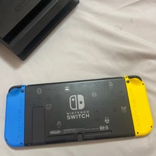Nintendo Switch fortnite wild cat bundle