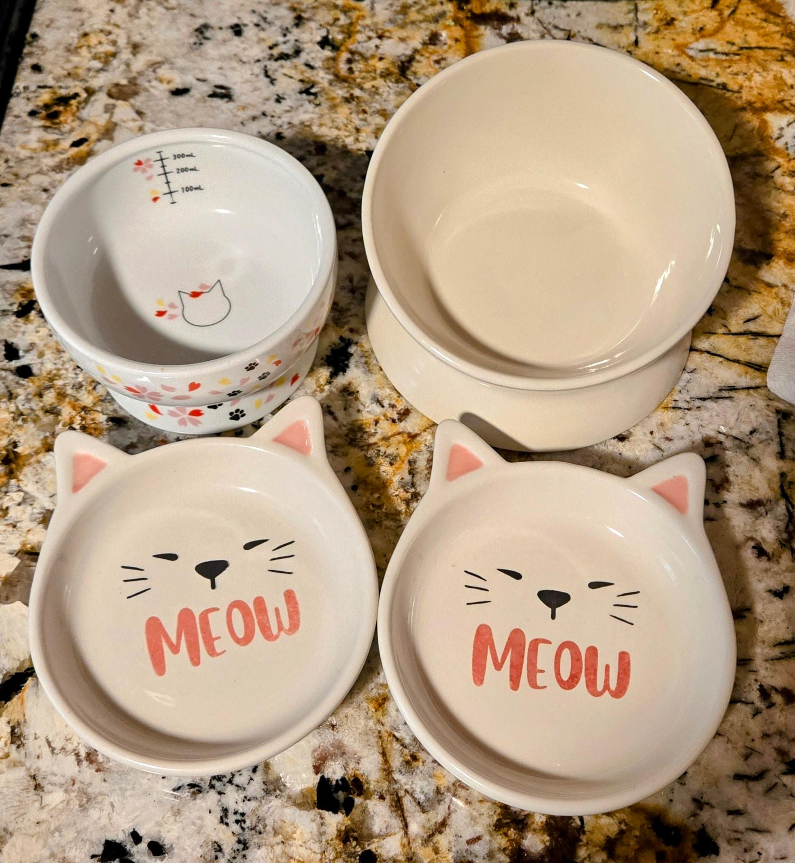 Set of 4 - Assorted Cat Bowls - Flat/Lifted Bowls - Water Intake Measuring Bowl - Whisker City