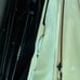 White Violin