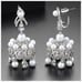 Swarovski Crystals The Eli Chandelier Earrings