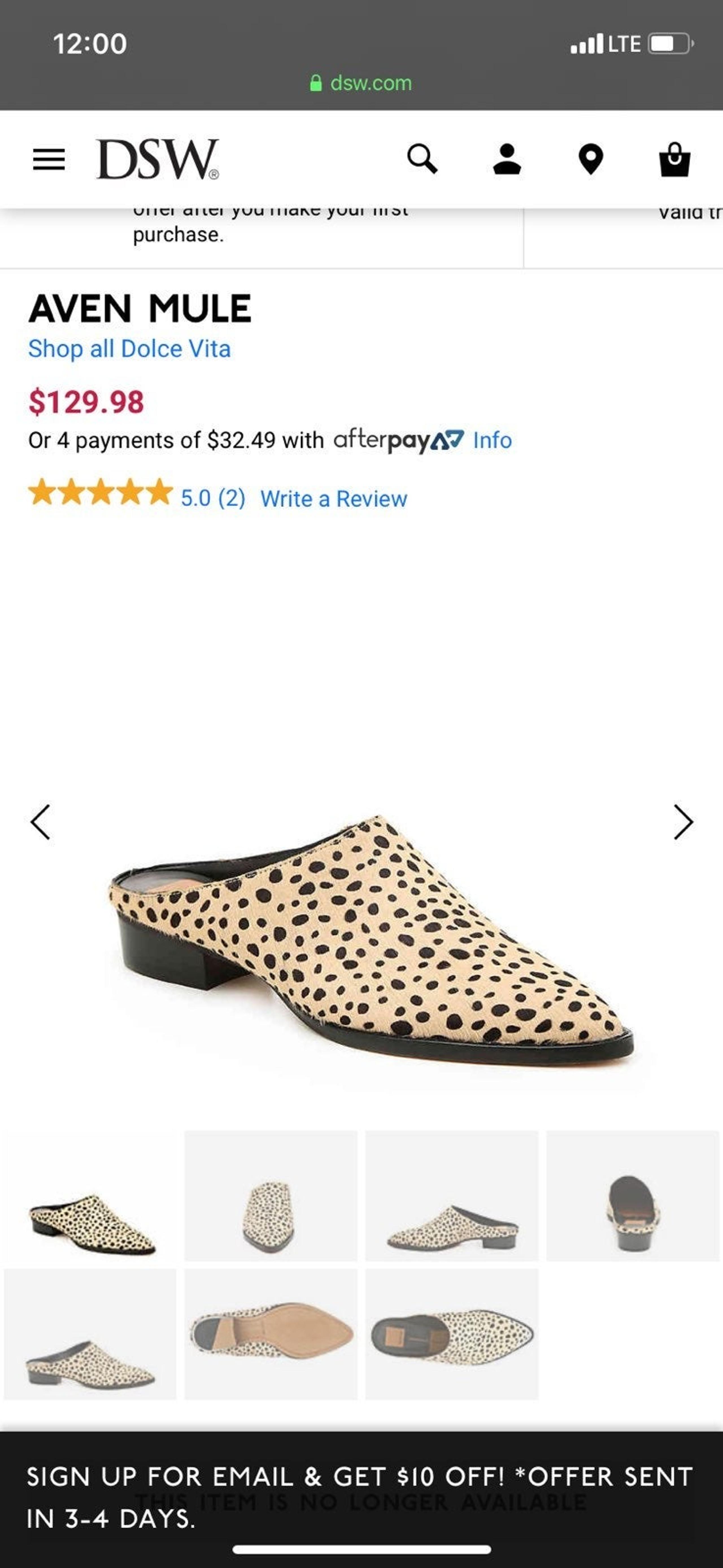 Dolce vita mule