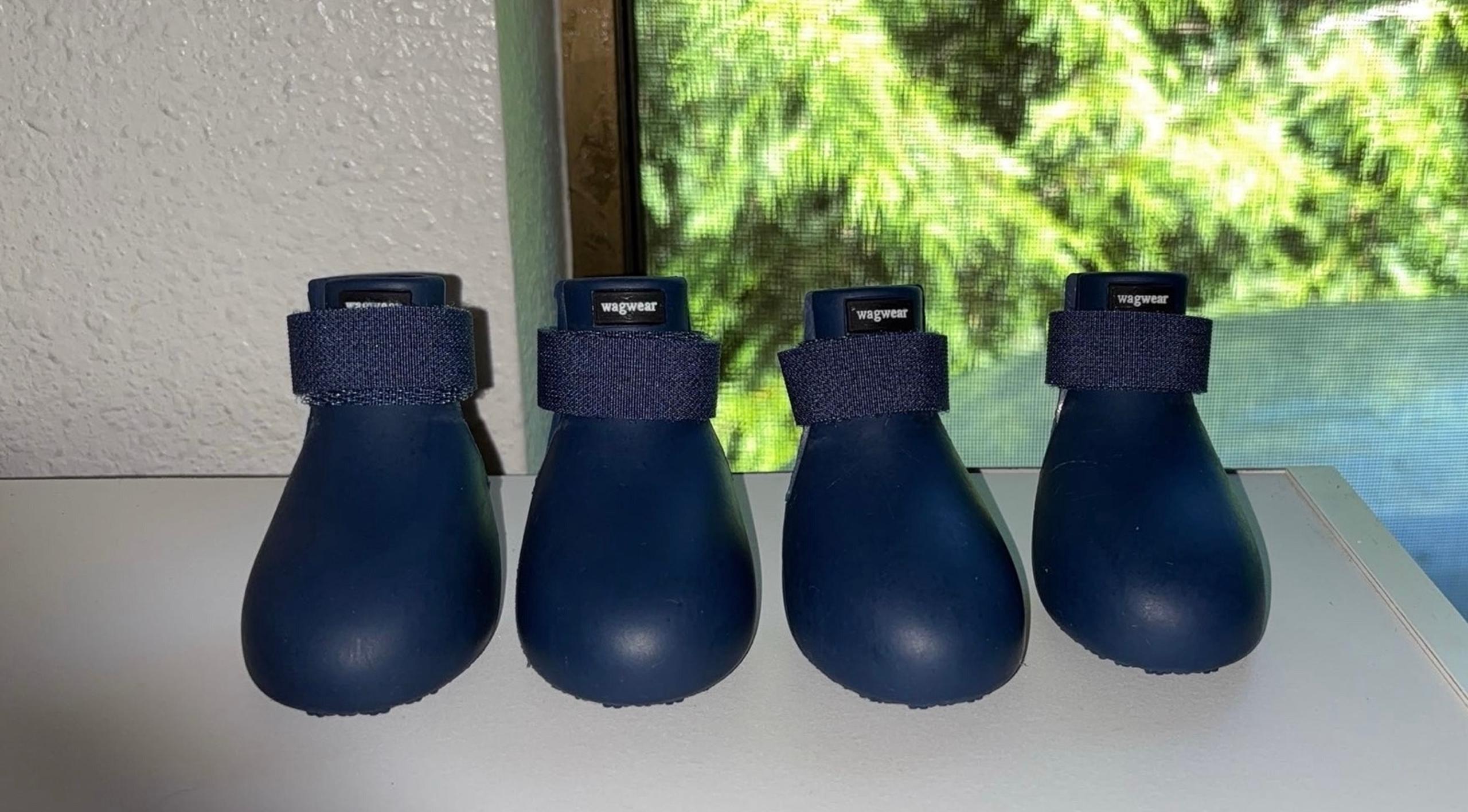 Wag wellies