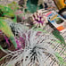 Fish tank accessories lot
