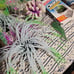 Fish tank accessories lot