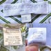 Caroline Constas Shorts Teagan Flora Beach Mini White Diamond Palm S NWT