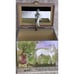 Fairy Horse Childrens Musical Jewellery Box Girls Wind Up Trinket Music Box Kids