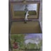 Fairy Horse Childrens Musical Jewellery Box Girls Wind Up Trinket Music Box Kids