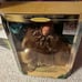 Ken Barbie doll as the Cowardly Lion from The Wizard of Oz