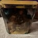 Ken Barbie doll as the Cowardly Lion from The Wizard of Oz