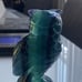 Beautiful blue/purple Fluorite Owl.