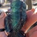 Beautiful blue/purple Fluorite Owl.