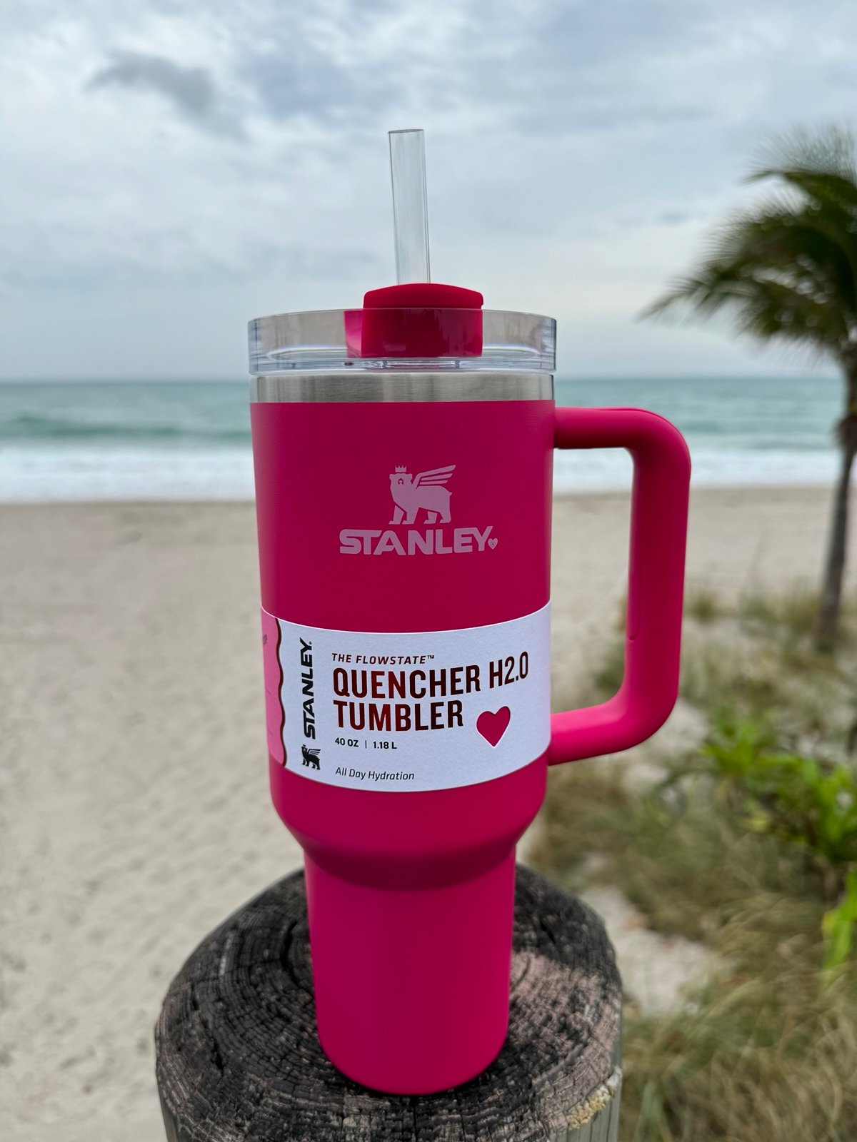 Stanley Cosmic Pink Valentines Day Target Exclusive 40oz