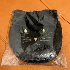 Kana Nishino concert live tour goods cat pouch Kana-yan