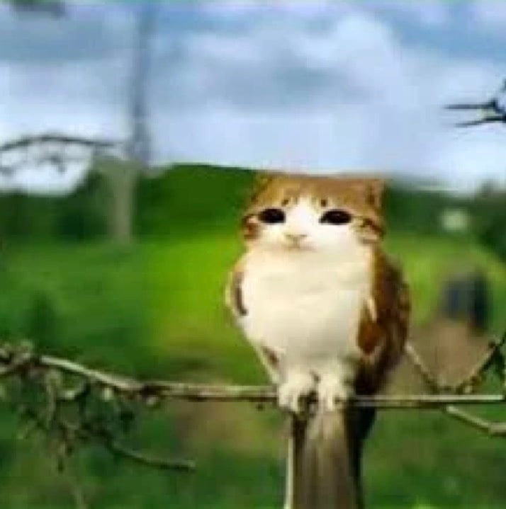 ART COMMISSIONS!!! (Please don’t steal the art !) DNBB!!!