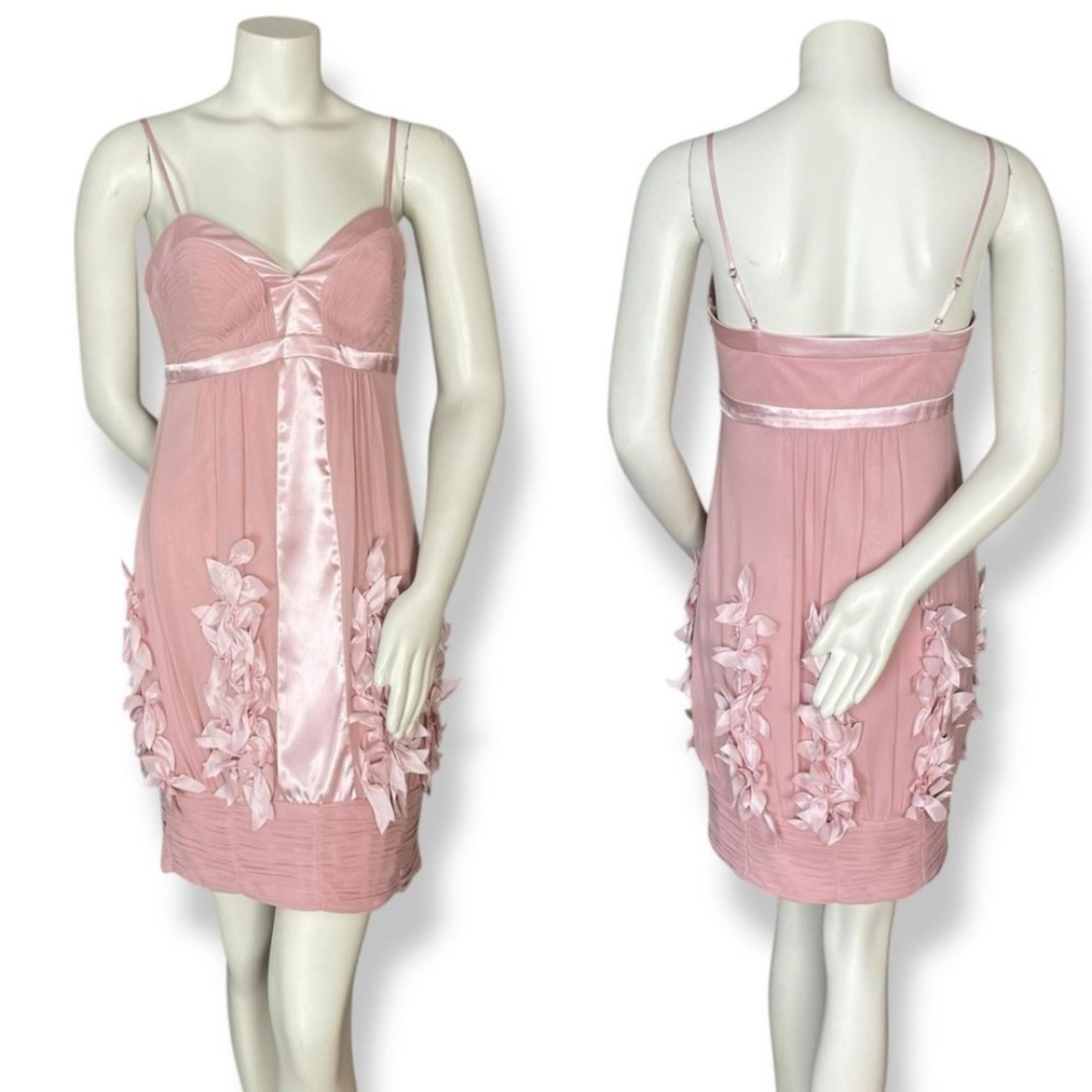Sue Wong Silk Dress Floral 3-D Size 6 Women Sleeveless Empire Waist Pink Pleats