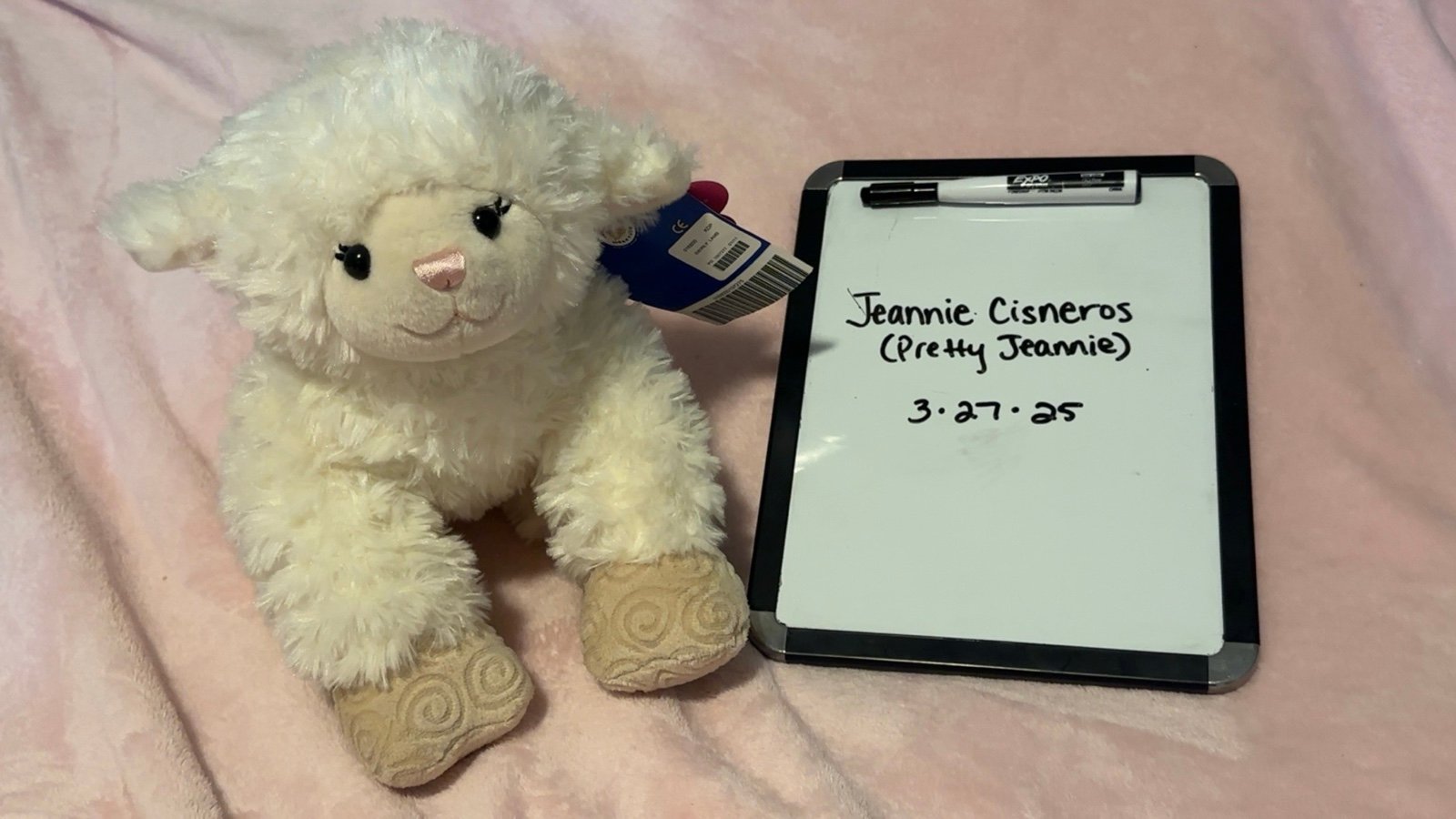 Build A Bear 2011 Limited Edition Swirly Lamb