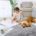 Fluffy Area, Shaggy Rugs for Bedroom Living Room Ultra Soft