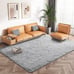 Fluffy Area, Shaggy Rugs for Bedroom Living Room Ultra Soft
