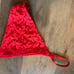 VS Vintage very sexy scandalous fishnet lace v string panty