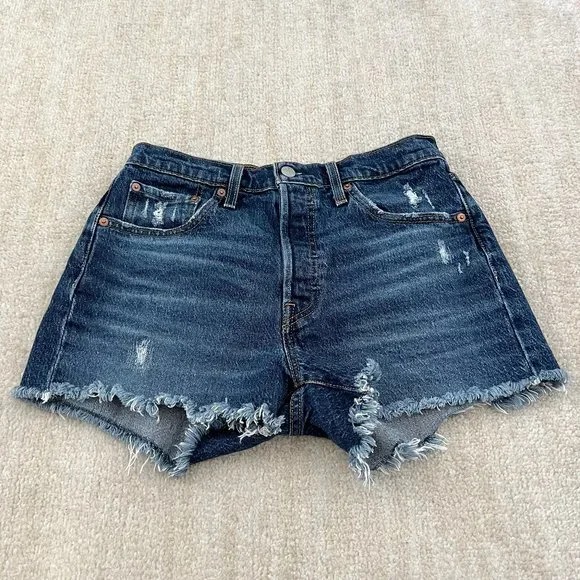 Cutoff Denim Shorts