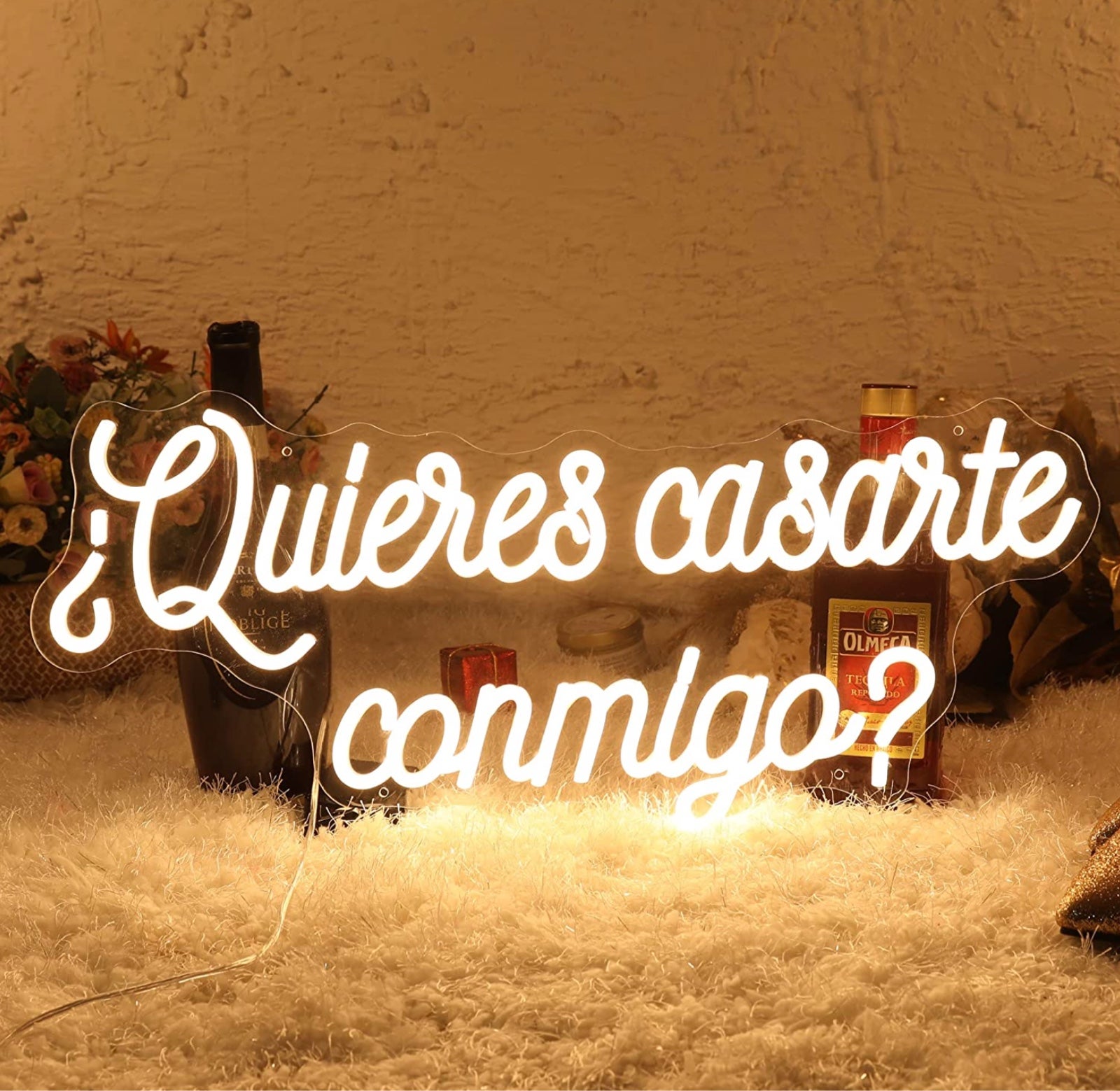 Romantic “?Quieres Casarte Conmigo?” Will You Marry Me LED Light Wedding Decor