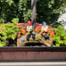 Garden Gnome Statues - Resin Squirrel Gnomes Figurine Solar LED Mushroom