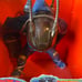 Street Sharks ( Evil power bite piranoid)