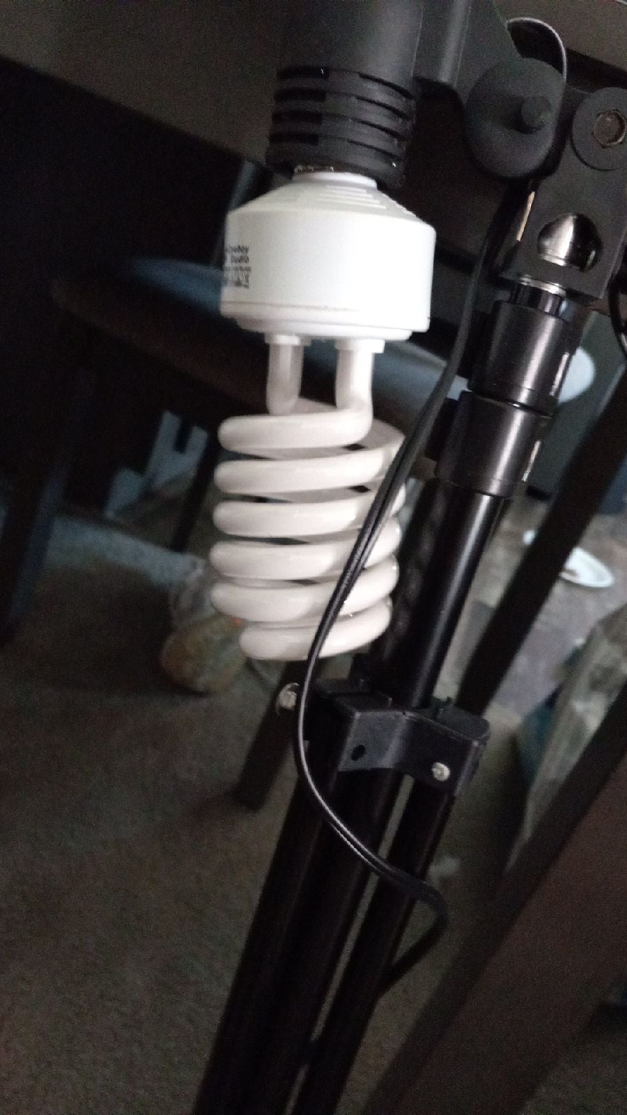 Lights for photo shoot