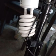 Lights for photo shoot